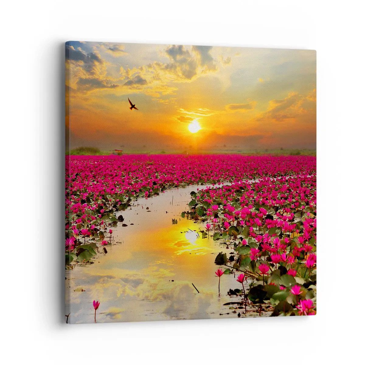 Bild auf Leinwand - Leinwandbild - Das geheime Leben des Sees - 40x40 cm