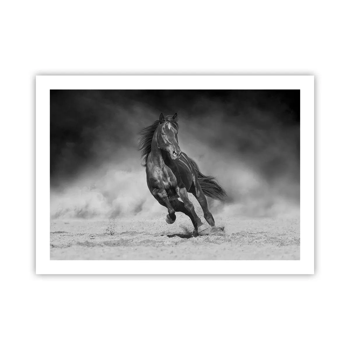 Poster - Würdig des Emirs selbst - 70x50 cm