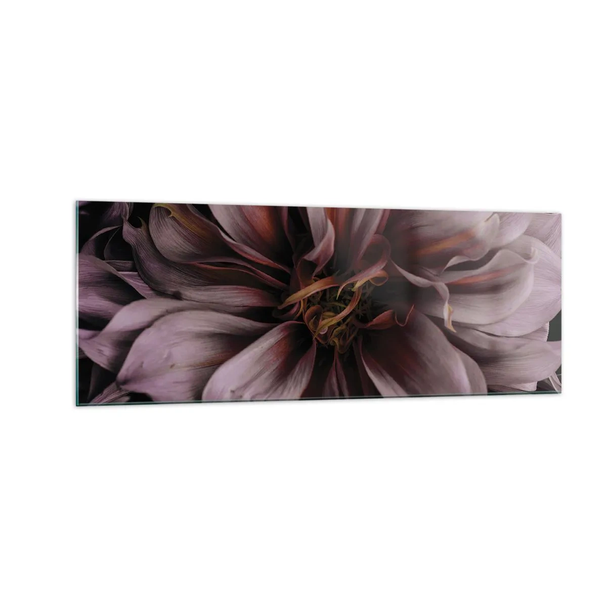 Glasbild - Bild auf glas - Nahaufnahme einer großen Blume in dezenten Farben - 140x50cm - Ein Blumenherz - Moderne Wanddekoration für Wohnzimmer und Schlafzimmer ARTTOR
