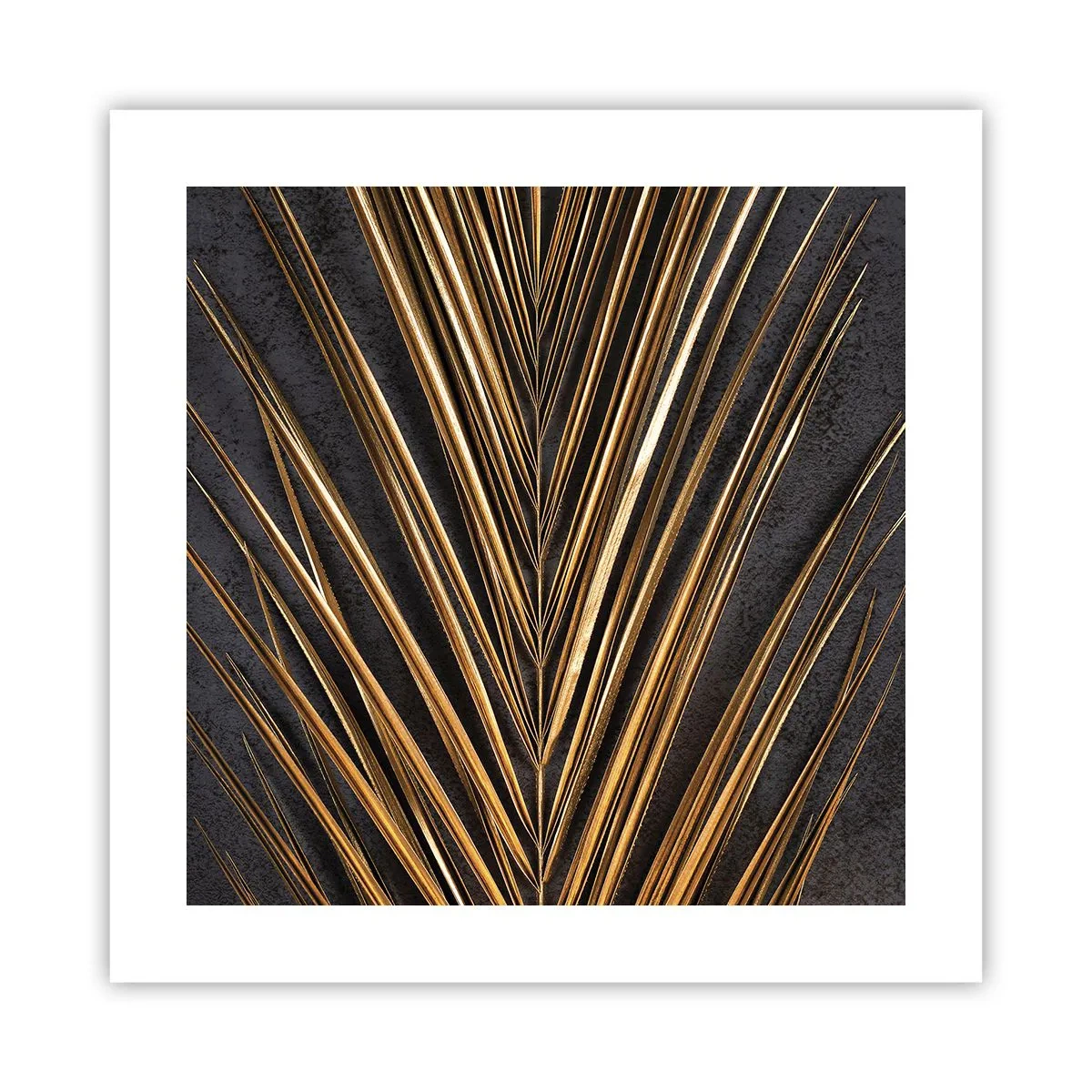 Poster - Das Gold der Tropen - 40x40 cm