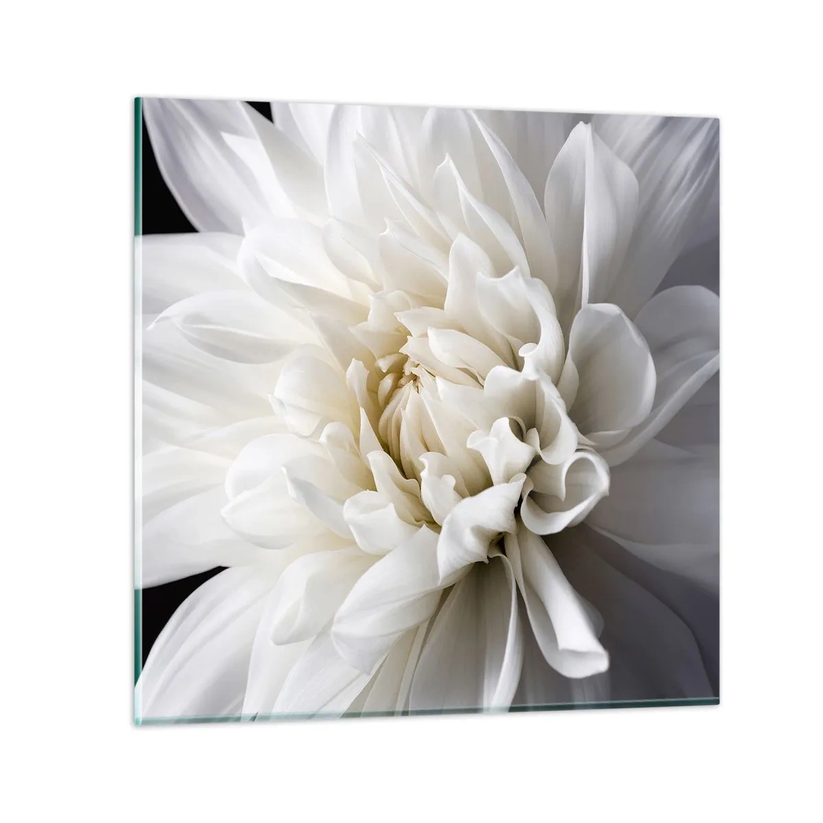 Glasbild - Bild auf glas - Der Morgen der Braut - 70x70 cm