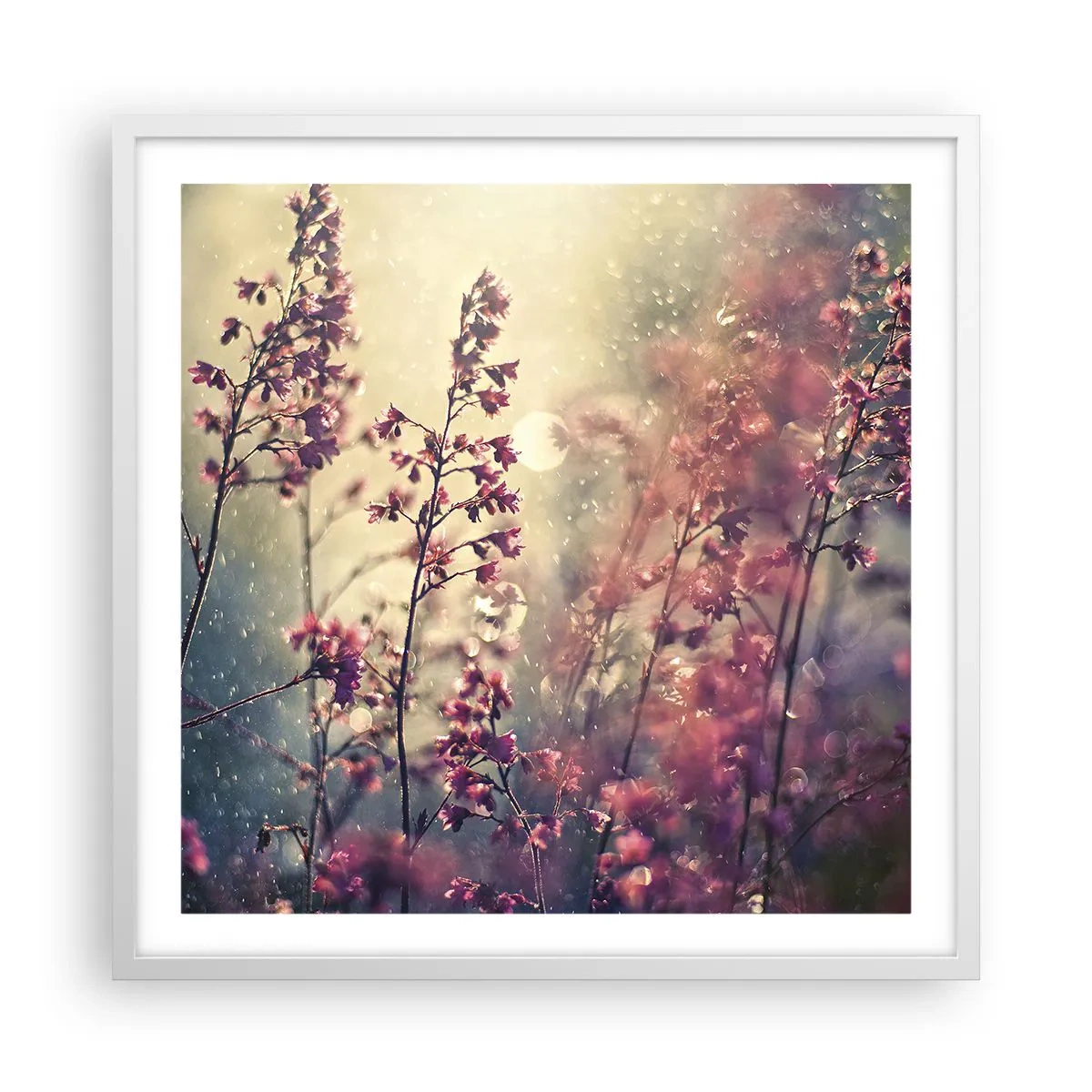 Poster in einem weißen Rahmen - Geheimnisvoller Garten - 60x60 cm