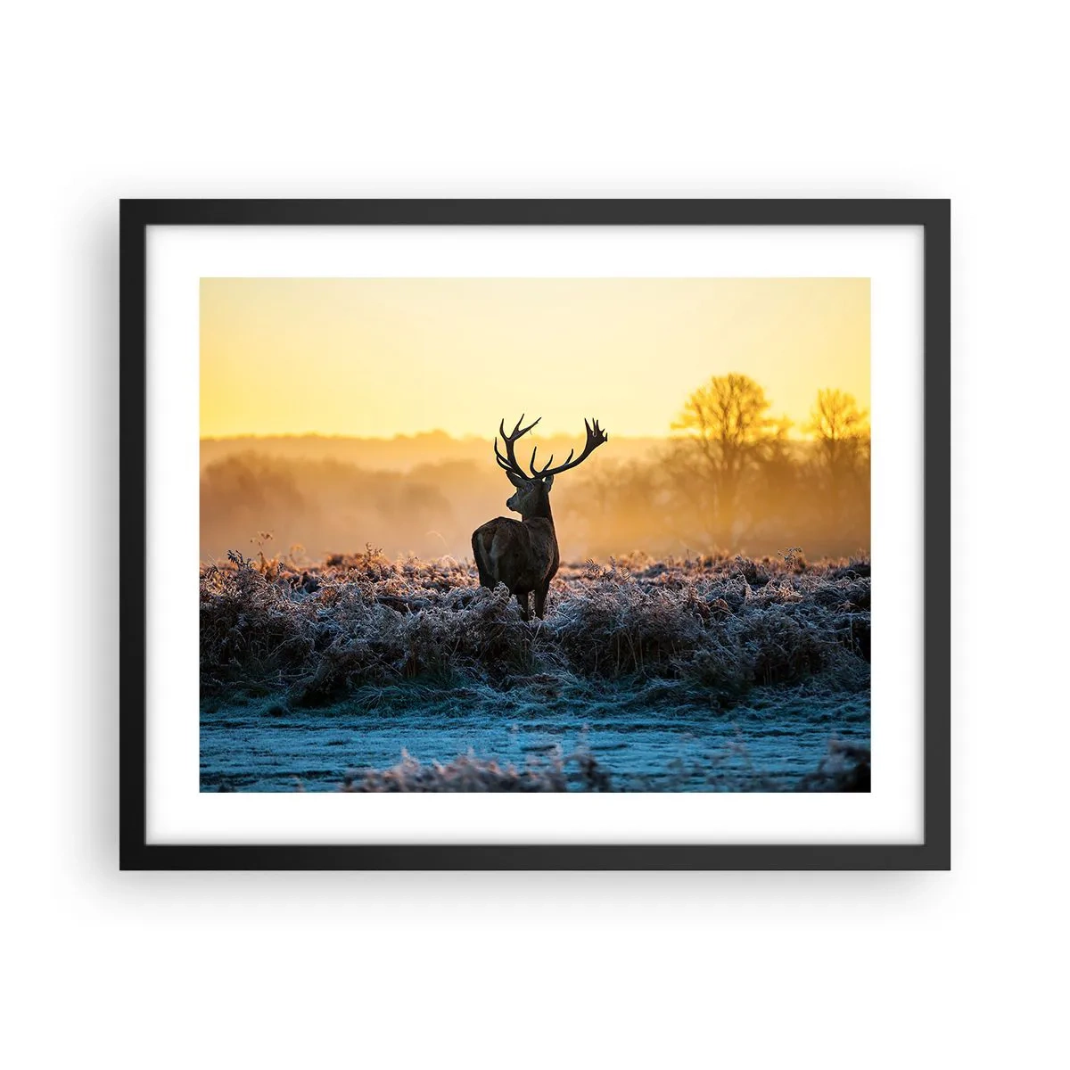 Poster in einem schwarzem Rahmen - Gekrönt auf seinem Besitz - 50x40 cm