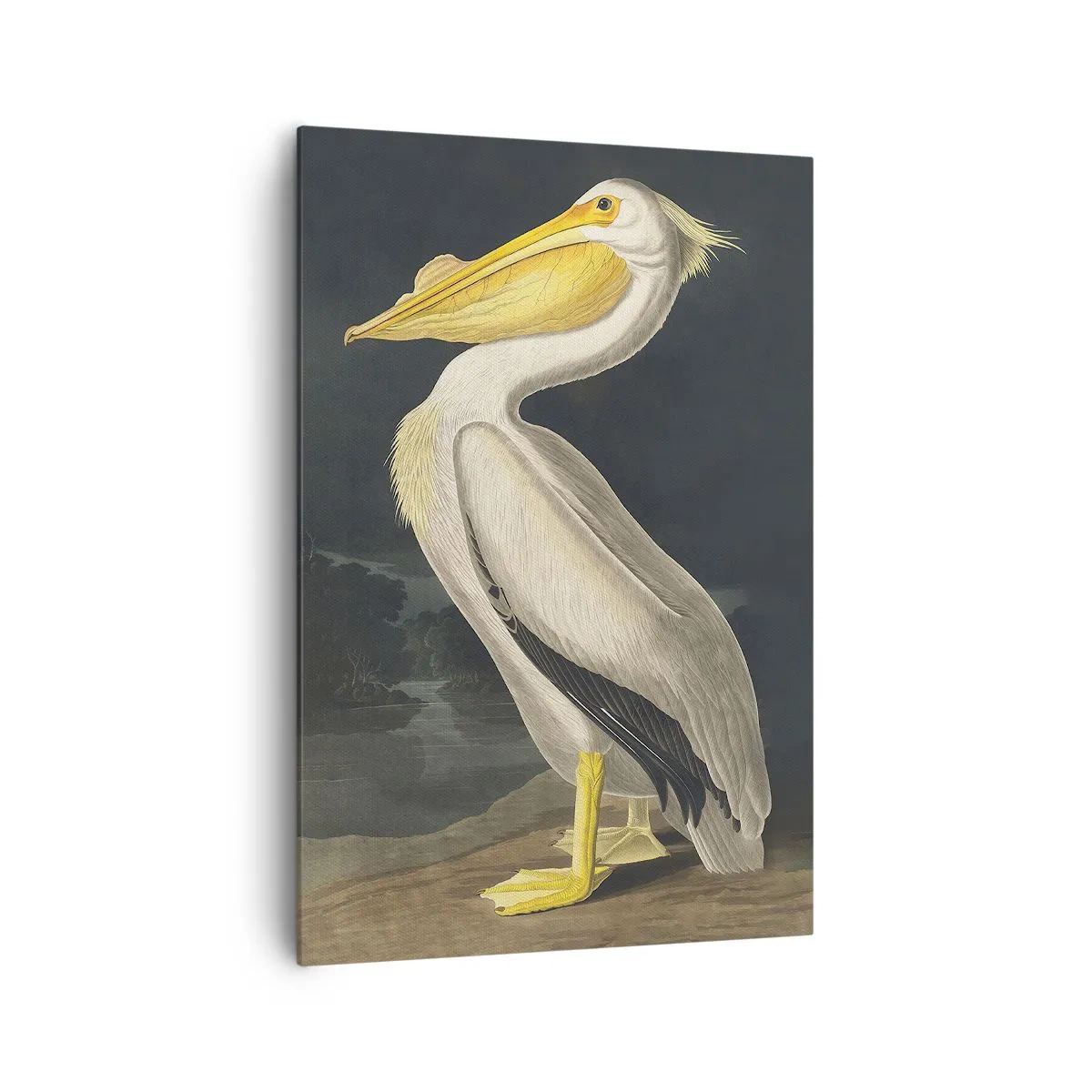 Bild auf Leinwand - Leinwandbild - Voller Stolz - 70x100 cm