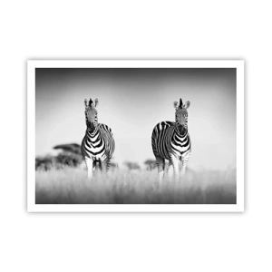 Poster - Zwei Zebras in der Savanne im monochromen Stil - 100x70cm - Die Welt ist doch schwarz-weiß - Moderne Wanddekoration für Wohnzimmer und Schlafzimmer ARTTOR