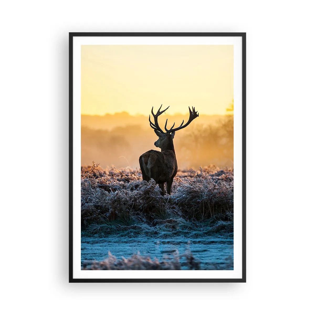 Poster in einem schwarzem Rahmen - Gekrönt auf seinem Besitz - 70x100 cm