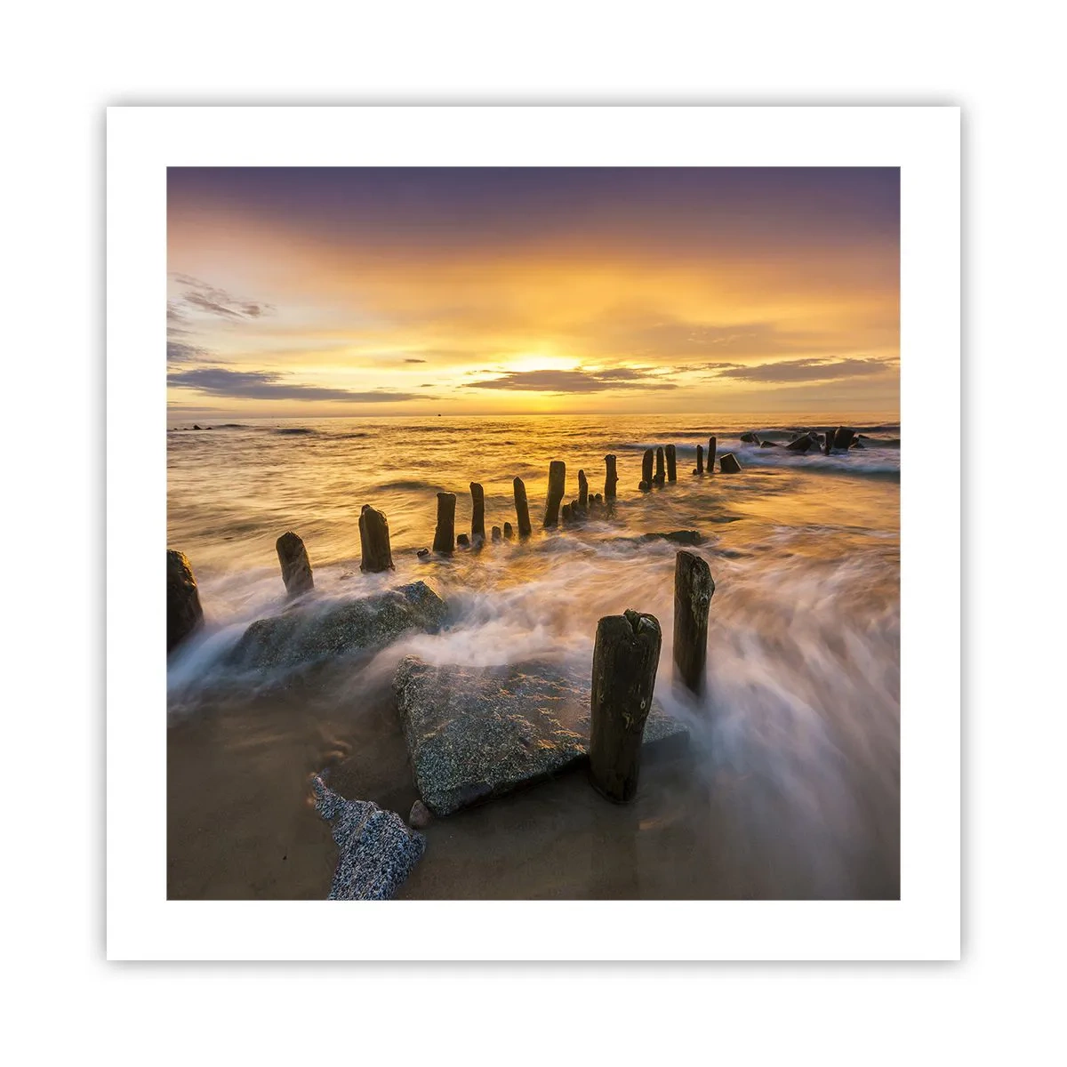 Poster - Die raue Schönheit der Ostsee - 50x50 cm