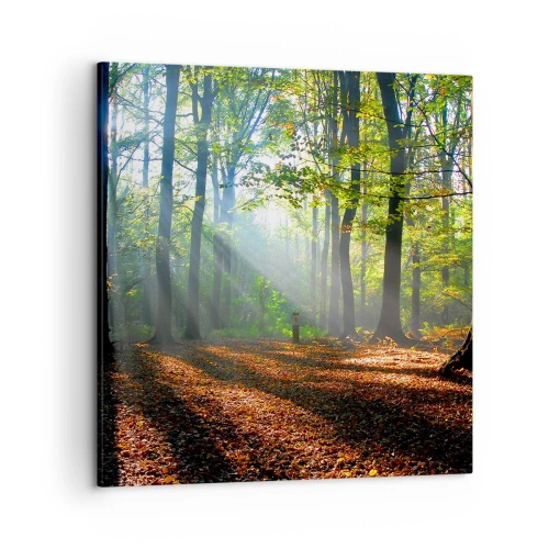 Bild auf Leinwand - Leinwandbild - Licht und Schatten - 50x50 cm