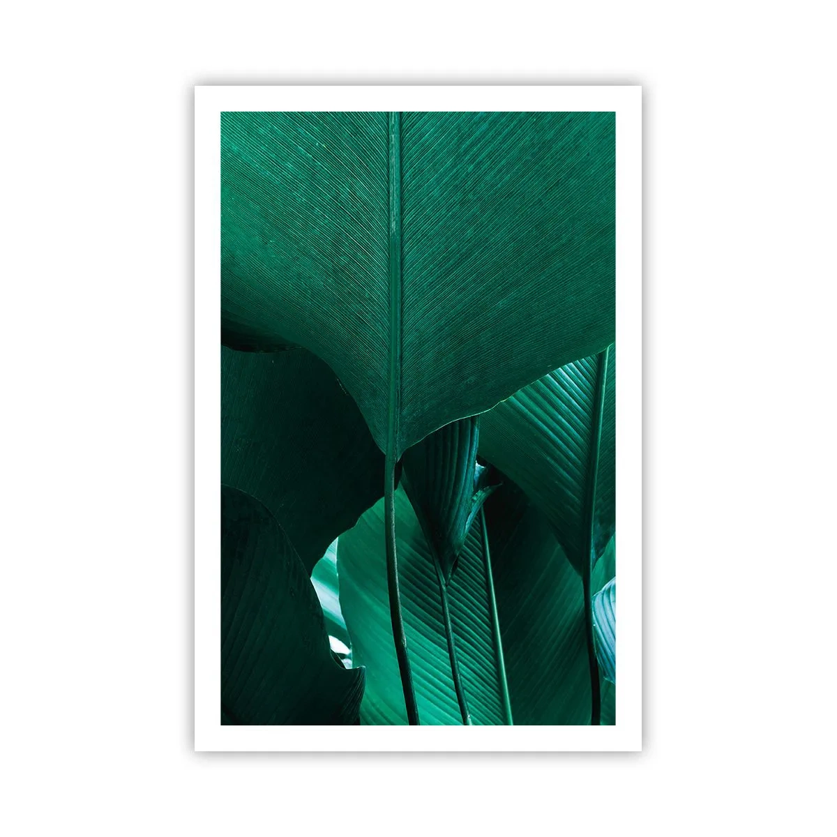 Poster - Dem Licht zugewandt - 61x91 cm