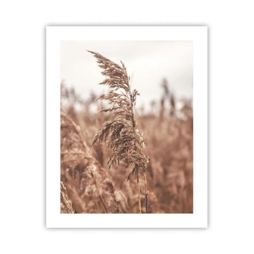 Poster - Auf den Feldern ist es schon Herbst - 40x50 cm