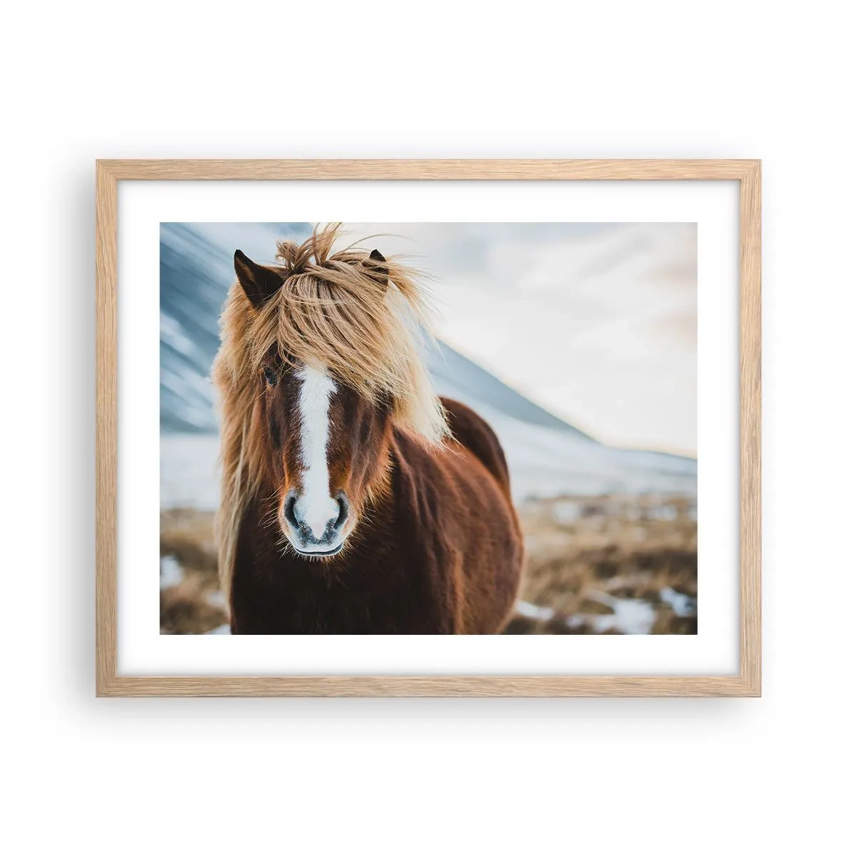 Poster in einem Rahmen aus heller Eiche - Spürst du die Freiheit? - 50x40 cm