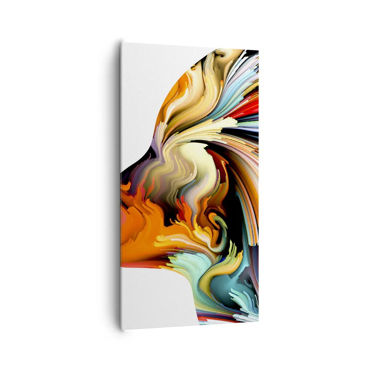 Bild auf Leinwand - Leinwandbild - Eine Explosion der Fantasie - 65x120 cm