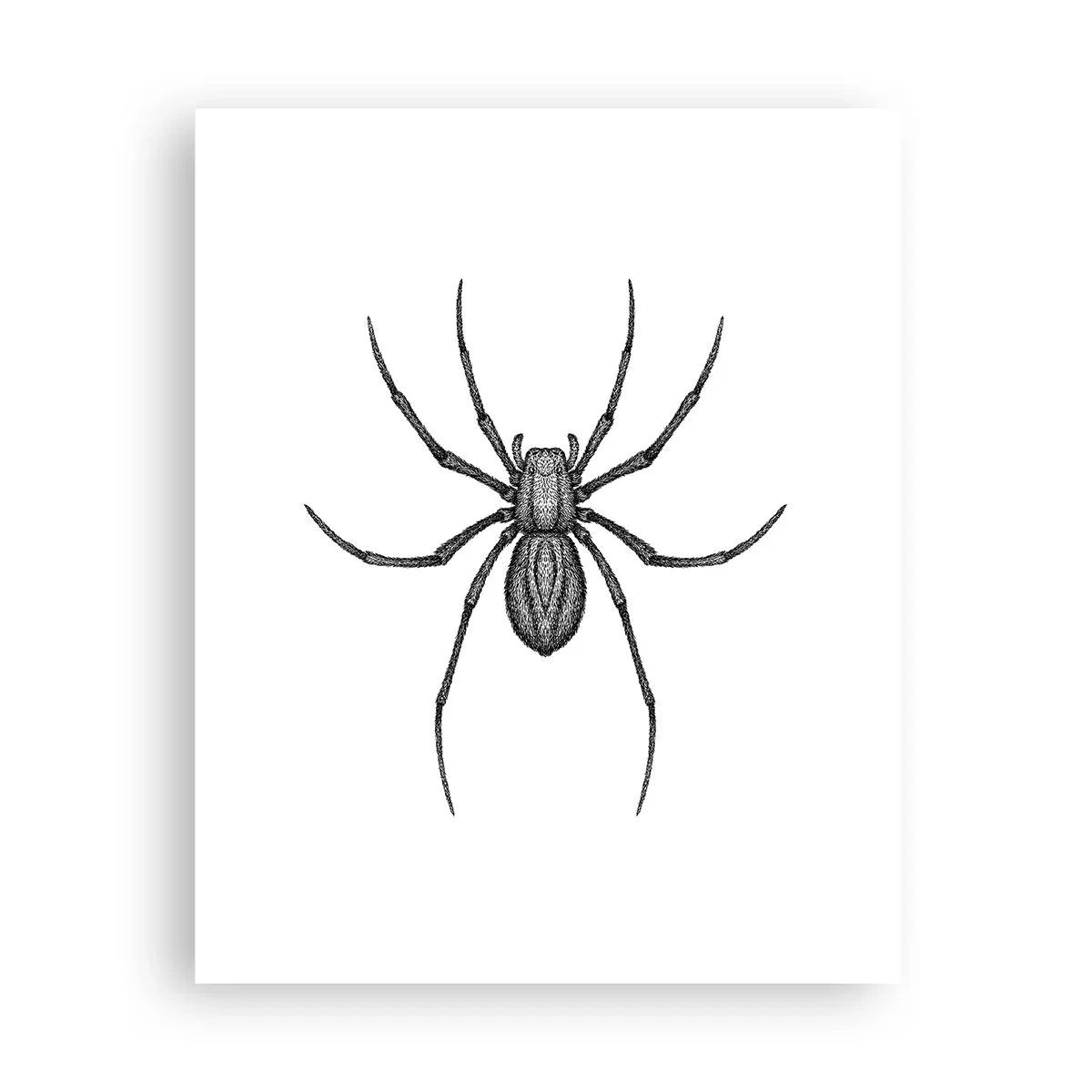 Poster - Beunruhigende Präzision - 40x50 cm