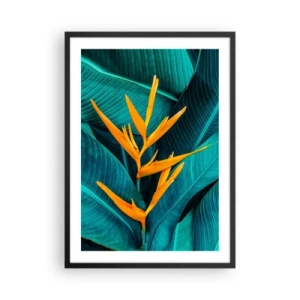 Poster in einem schwarzem Rahmen - Eine exotische Blume vor einem Hintergrund aus grünen tropischen Blättern. - 50x70cm - Eden-Blume - Moderne Wanddekoration für Wohnzimmer und Schlafzimmer ARTTOR