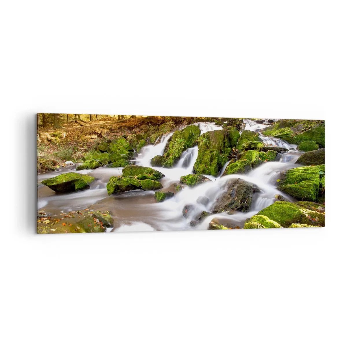 Bild auf Leinwand - Leinwandbild - Eine bewaldete Landschaft mit einem von Moos umgebenen Wasserfall - 140x50cm - Rasch durch den herbstlichen Wald - Moderne Wanddekoration für Wohnzimmer und Schlafzimmer ARTTOR