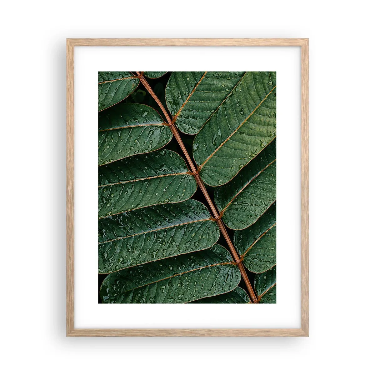 Poster in einem Rahmen aus heller Eiche - Im grünen Rhythmus - 40x50 cm