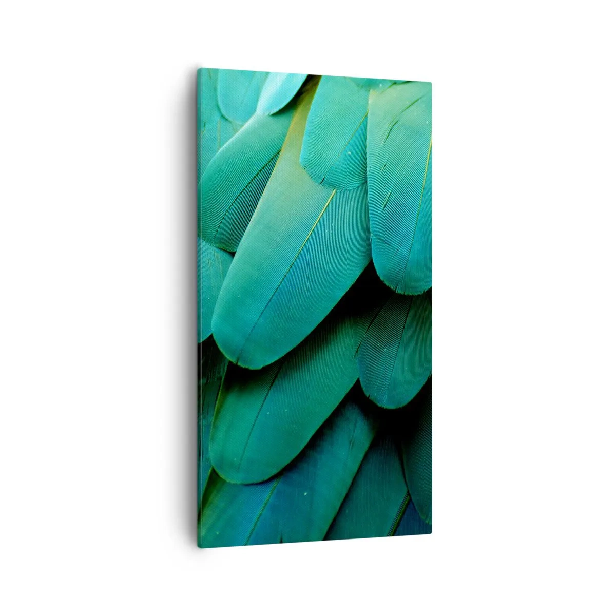 Bild auf Leinwand - Leinwandbild - Papageienartige Präzision - 55x100 cm