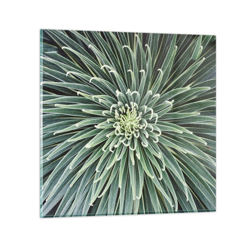 Glasbild - Bild auf glas - Ein Star ist geboren - 30x30 cm