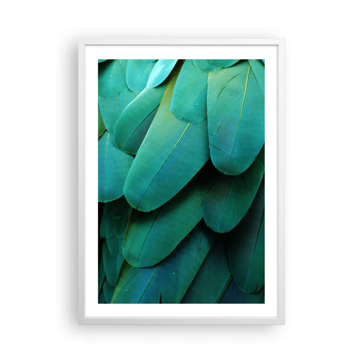 Poster in einem weißen Rahmen - Papageienartige Präzision - 50x70 cm