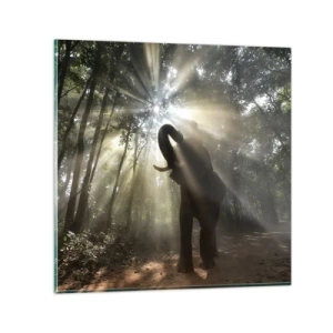 Glasbild - Bild auf glas - Unter dem Glücksstern - 50x50 cm