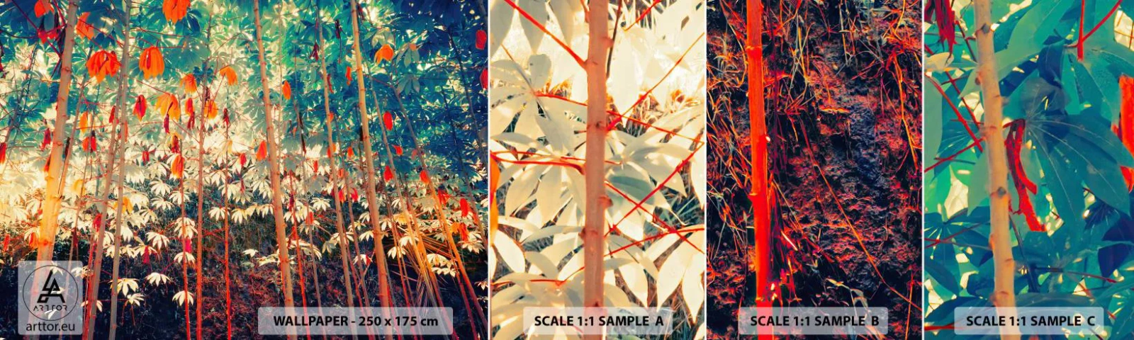 Fototapetenmuster Standard Eco - Das geheime Leben der Blätter - Tropenwald, Natur, Bäume - 100x30 cm