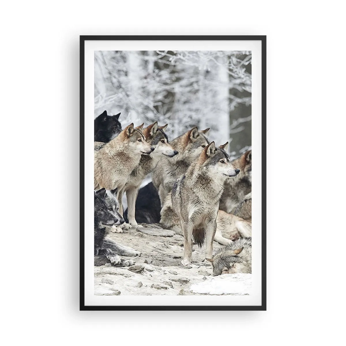 Poster in einem schwarzem Rahmen - Familie und Freunde - 61x91 cm