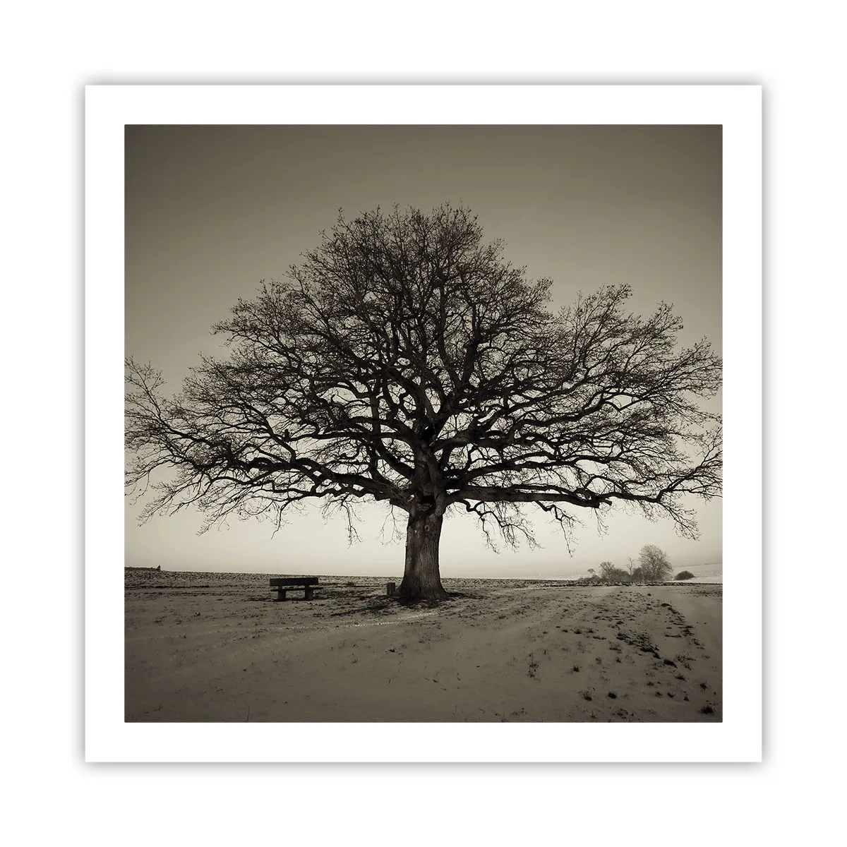 Poster - Von hier zu Ewigkeit - 60x60 cm