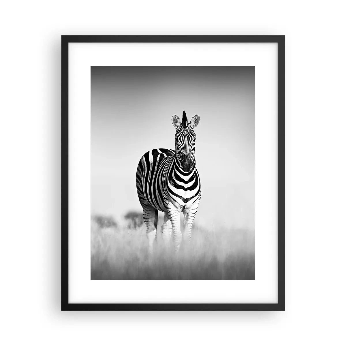 Poster in einem schwarzem Rahmen - Die Welt ist doch schwarz-weiß - 40x50 cm