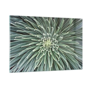 Glasbild - Bild auf glas - Symmetrische Rosette aus grünen Blättern in der Makrofotografie - 120x80cm - Ein Star ist geboren - Moderne Wanddekoration für Wohnzimmer und Schlafzimmer ARTTOR