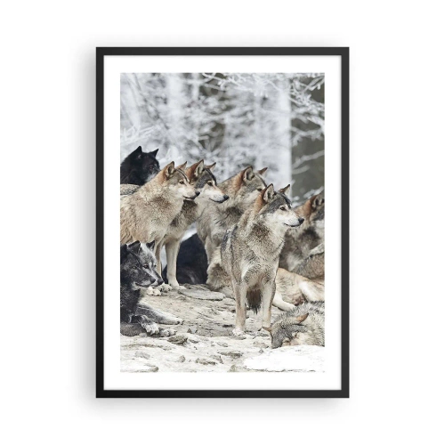 Poster in einem schwarzem Rahmen - Eine Gruppe Wölfe im Winterwald - 50x70cm - Familie und Freunde - Moderne Wanddekoration für Wohnzimmer und Schlafzimmer ARTTOR