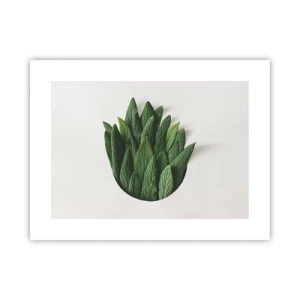 Poster - Ungebremste Neugier - 40x30 cm