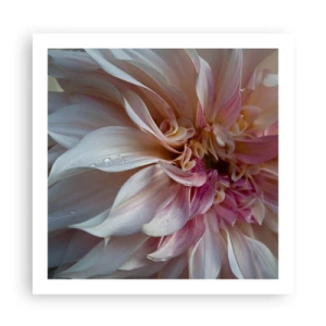 Poster - Blühende Frische - 60x60 cm