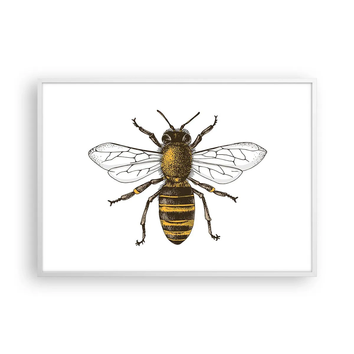 Poster in einem weißen Rahmen - Schön und gut - 100x70 cm