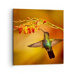 Bild auf Leinwand - Leinwandbild - Ein Lichtbote nach den Maya - 70x70 cm