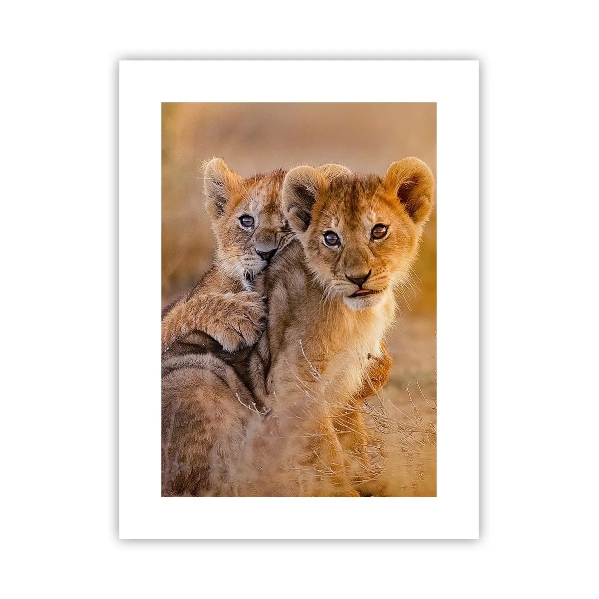 Poster - Bitte nicht stören! Wir haben Spaß - 30x40 cm