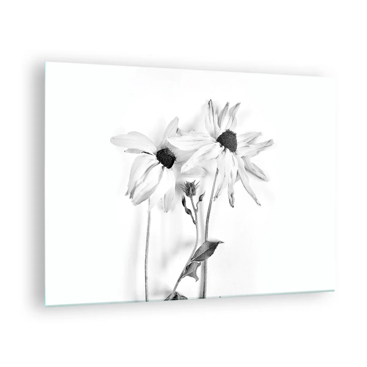Glasbild - Bild auf glas - Schwarz-weiße Blumen im minimalistischen Stil - 70x50cm - Niemand will allein sein - Moderne Wanddekoration für Wohnzimmer und Schlafzimmer ARTTOR