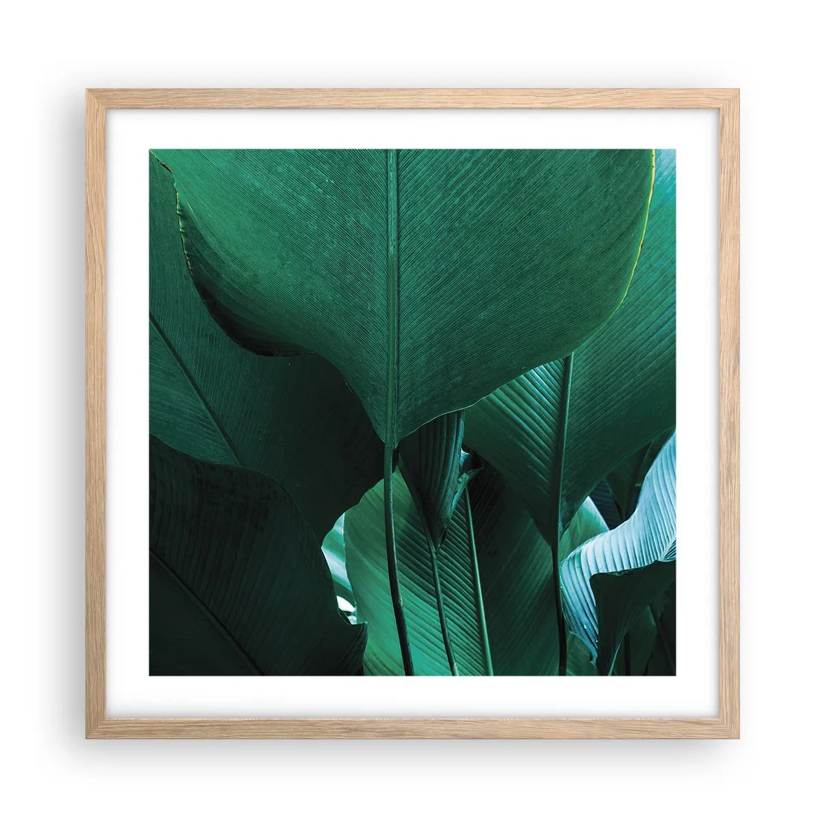 Poster in einem Rahmen aus heller Eiche - Dem Licht zugewandt - 50x50 cm