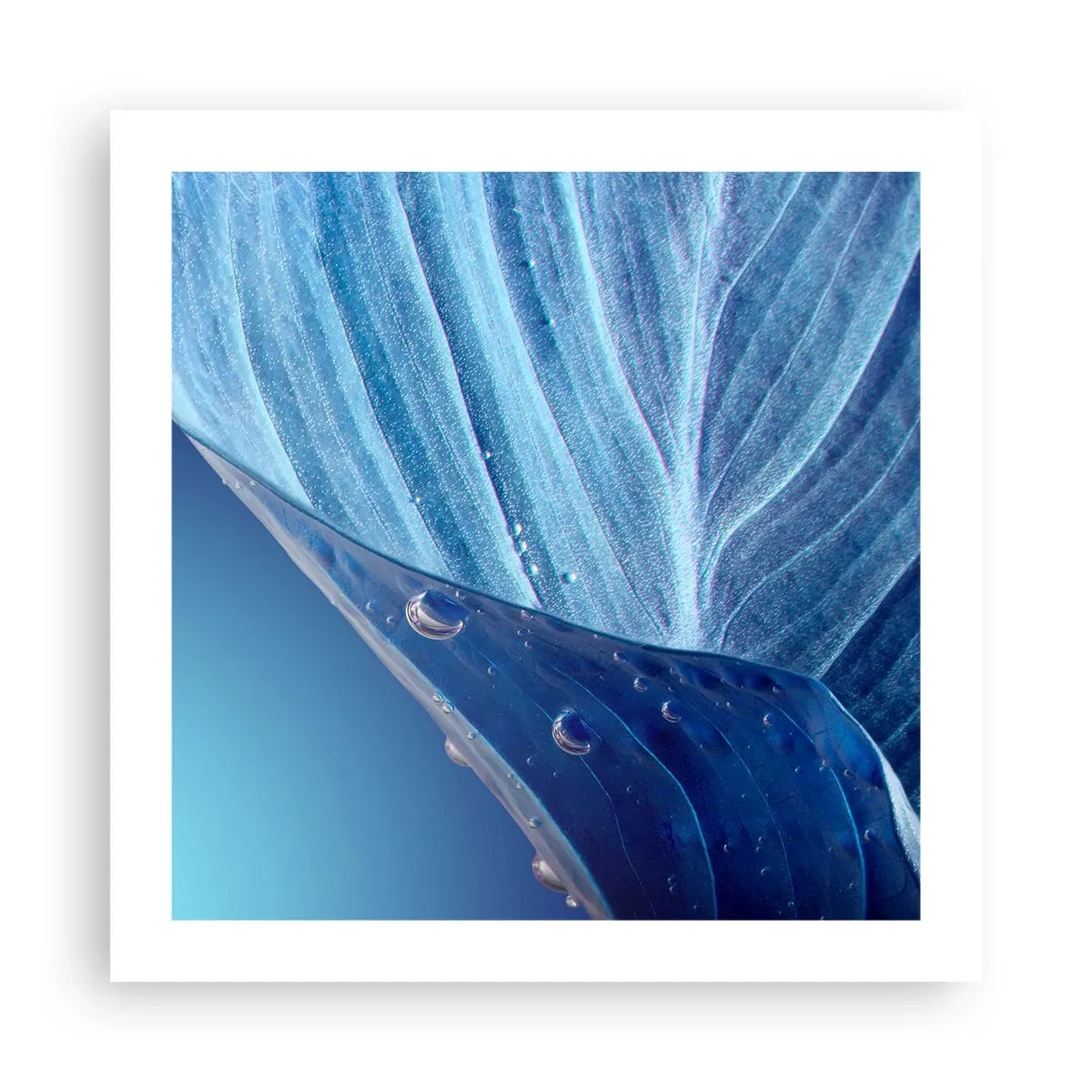 Poster - Versteckte Tropfen vom Blau - 50x50 cm