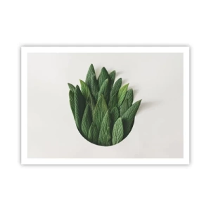 Poster - Eine Komposition aus grünen Blättern auf hellem Hintergrund - 100x70cm - Ungebremste Neugier - Moderne Wanddekoration für Wohnzimmer und Schlafzimmer ARTTOR