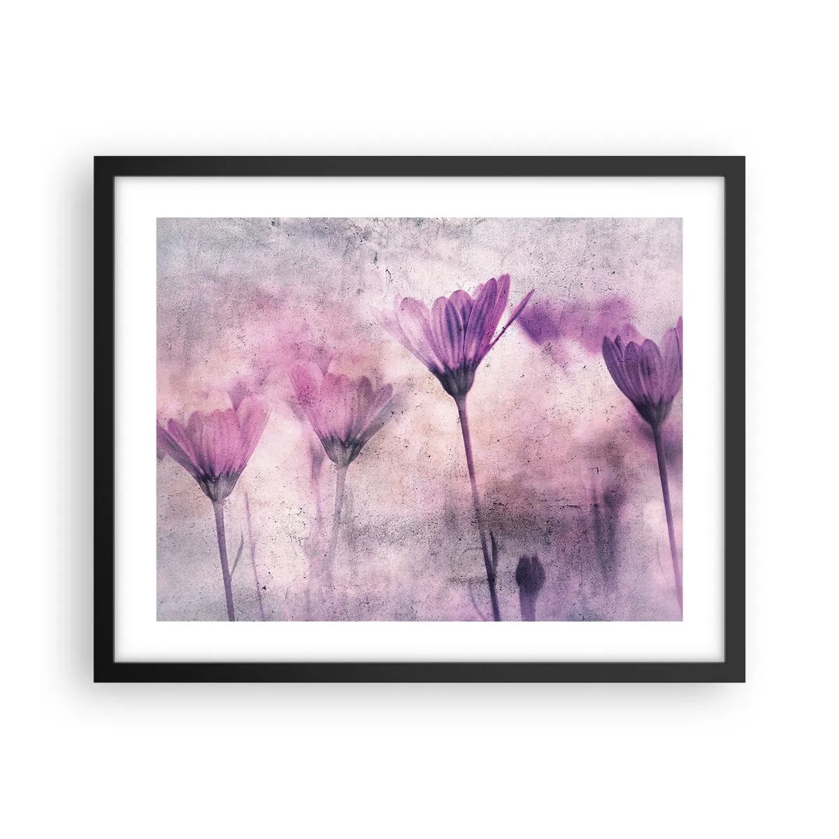 Poster in einem schwarzem Rahmen - Ein Blumentraum - 50x40 cm