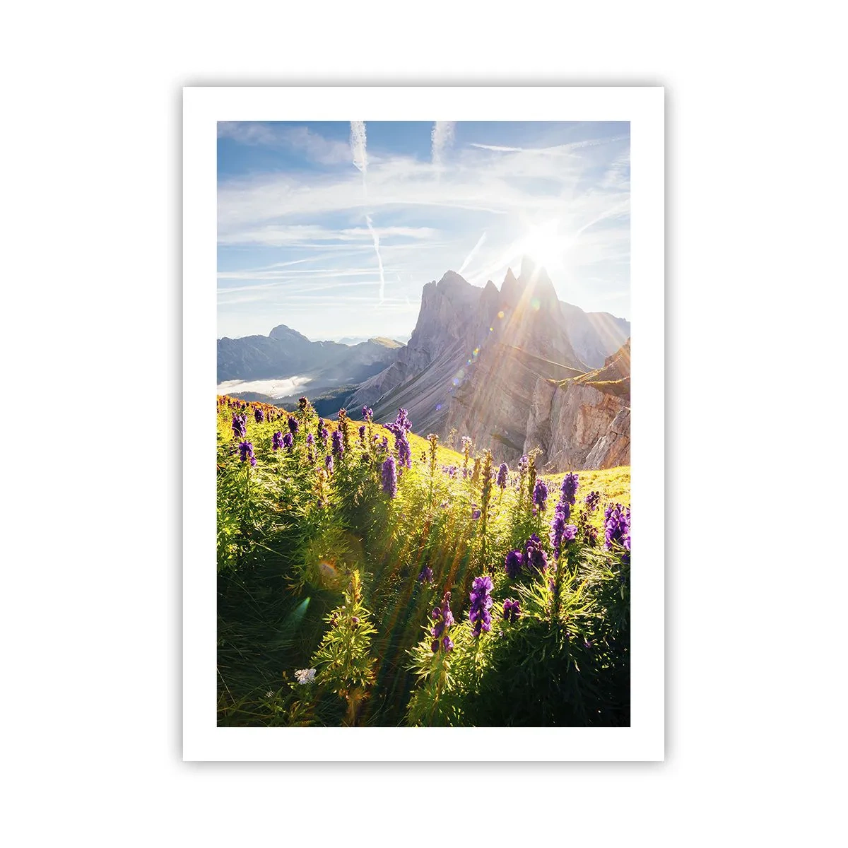 Poster - Eine Berglandschaft mit einer Blumenwiese bei Sonnenaufgang - 50x70cm - Das geheime Leben der Kräuter - Moderne Wanddekoration für Wohnzimmer und Schlafzimmer ARTTOR