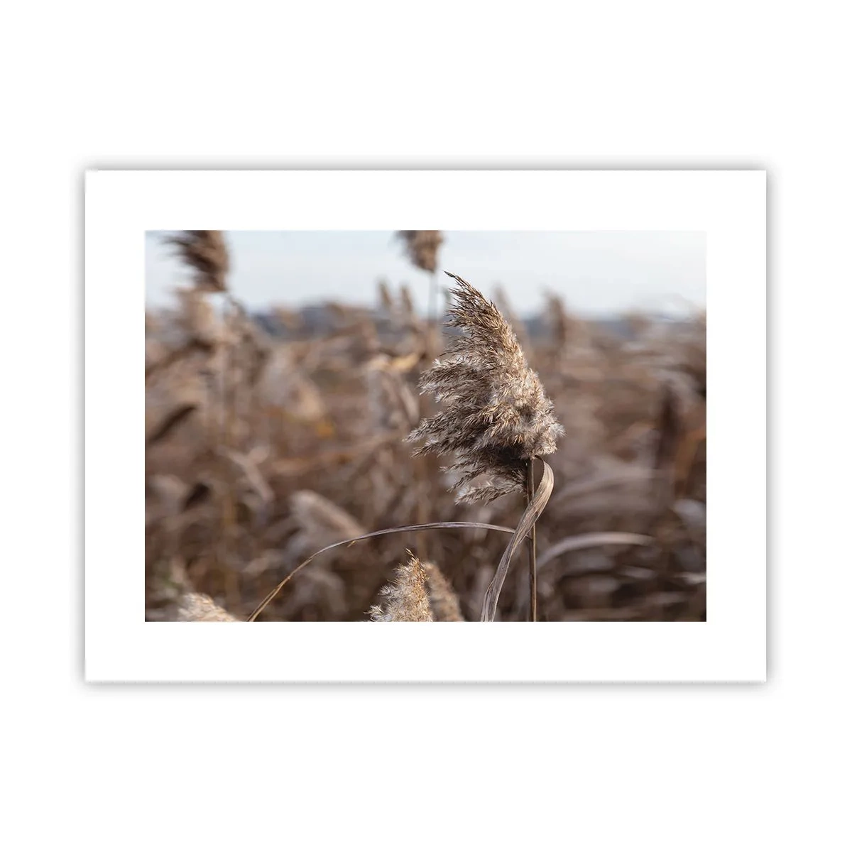 Poster - Zeit, mit dem Wind zu gehen - 40x30 cm