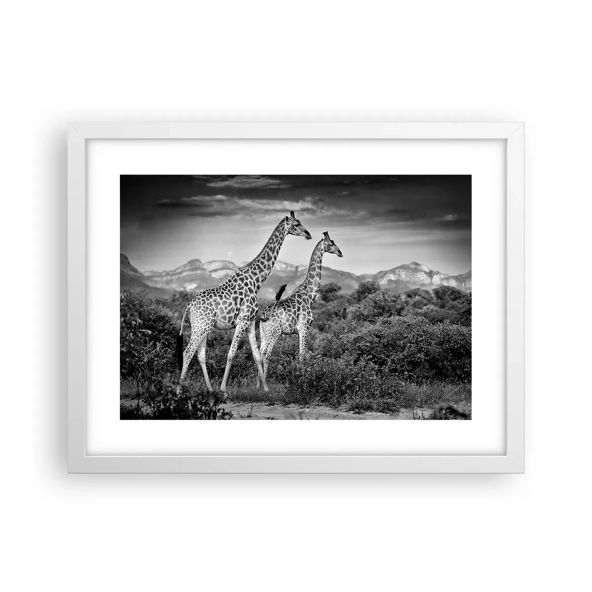 Poster in einem weißen Rahmen - Hohe Sphären in Afrika - 40x30 cm