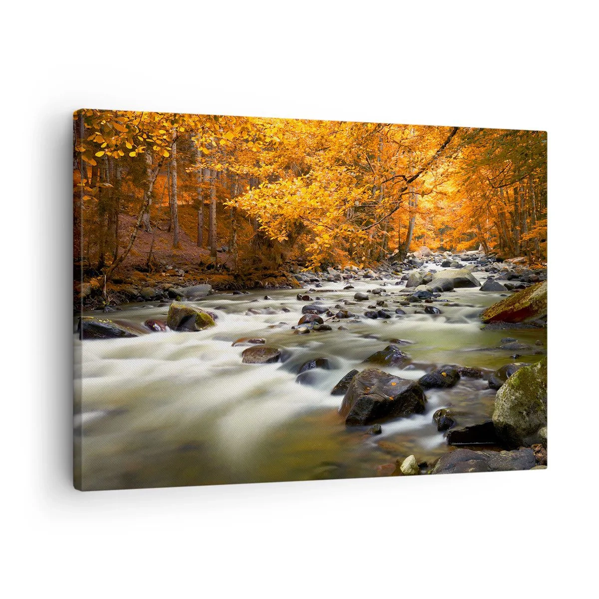 Bild auf Leinwand - Leinwandbild - Ein Bach in einem herbstlichen Wald, umgeben von goldenen Blättern - 70x50cm - Ein Bach in einem goldenen Wald - Moderne Wanddekoration für Wohnzimmer und Schlafzimmer ARTTOR