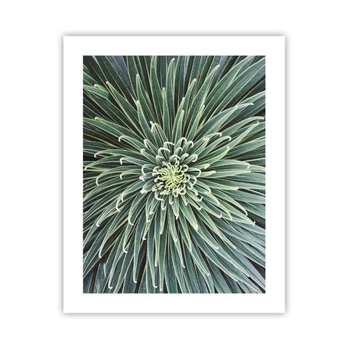 Poster - Ein Star ist geboren - 40x50 cm