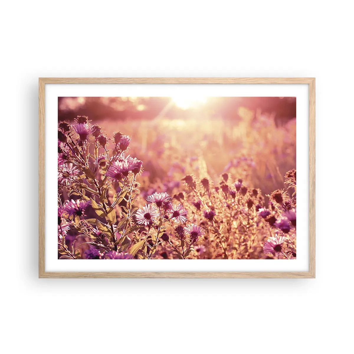 Poster in einem Rahmen aus heller Eiche - Bevor der Sommer vorbei ist - 70x50 cm