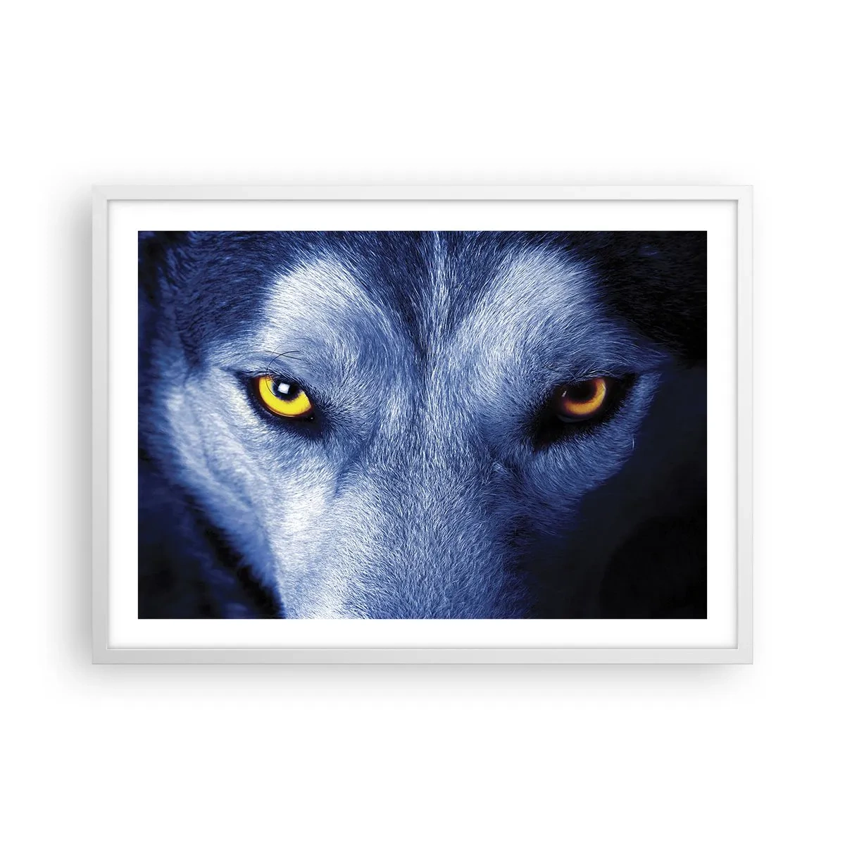 Poster in einem weißen Rahmen - Faszinierender Blick - 70x50 cm