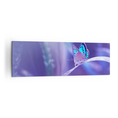 Bild auf Leinwand - Leinwandbild - Ein zarter blauer Schmetterling auf einem Stängel in violettem Licht - 160x50cm - Ein Juwel der Natur - Moderne Wanddekoration für Wohnzimmer und Schlafzimmer ARTTOR