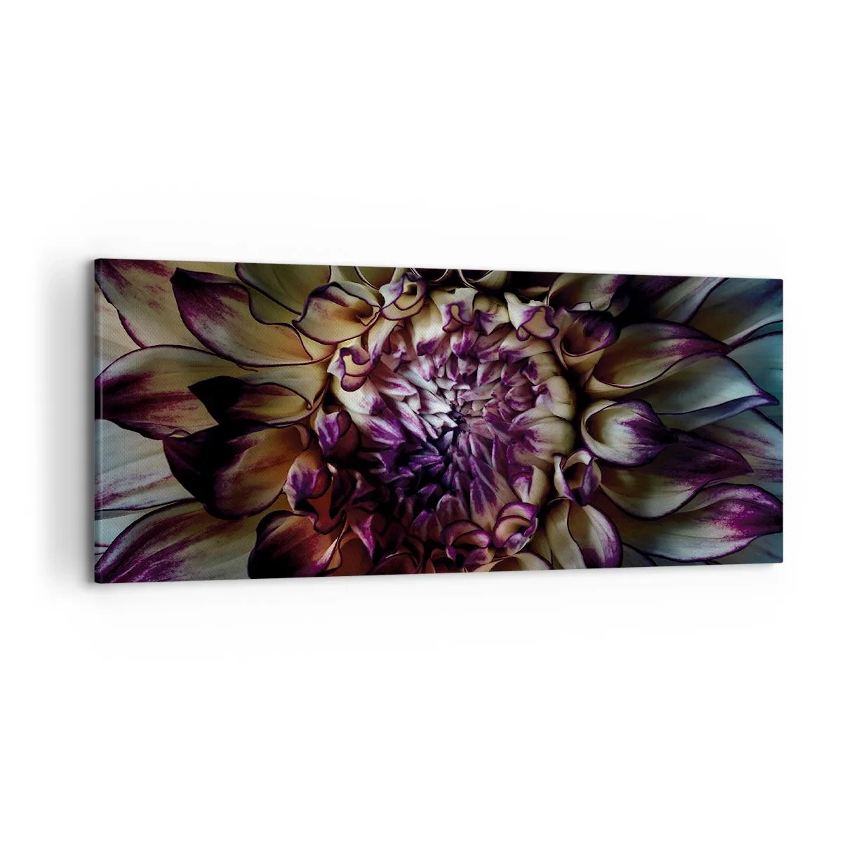 Bild auf Leinwand - Leinwandbild - Nahaufnahme einer Dahlienblüte in dunklen Tönen - 120x50cm - Die Blütezeit der Jugend - Moderne Wanddekoration für Wohnzimmer und Schlafzimmer ARTTOR