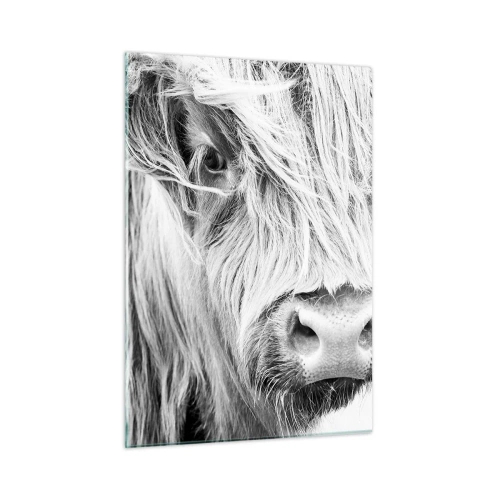 Glasbild - Bild auf glas - Nahaufnahme eines langhaarigen schottischen Rindes in Schwarz und Weiß - 50x70cm - Schottische Wildheit - Moderne Wanddekoration für Wohnzimmer und Schlafzimmer ARTTOR